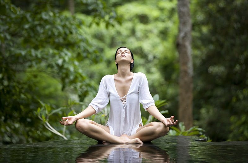 HD-wallpaper-meditation-forest-water-person-nature-trees HD-wallpaper-meditation-forest-water-person-nature-trees